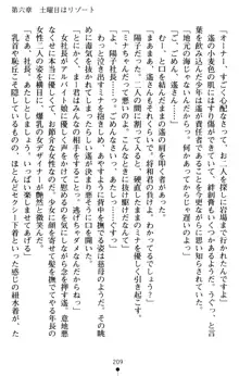 すうぃーとオフィス 誘惑の社長室, 日本語