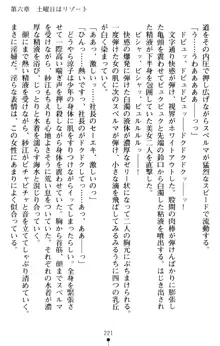 すうぃーとオフィス 誘惑の社長室, 日本語