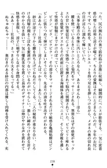 すうぃーとオフィス 誘惑の社長室, 日本語