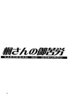 楓さんの御苦労, 日本語