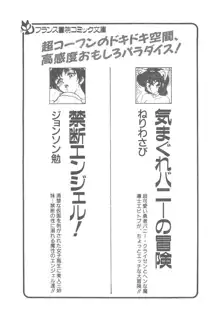 気まぐれバニーの冒険, 日本語