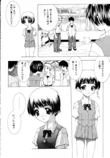 女の子の秘密, 日本語