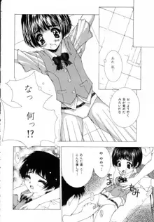 女の子の秘密, 日本語