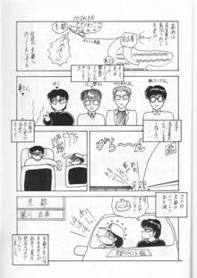 月光輝譚　白光の章, 日本語