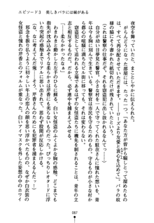 怪盗ローズ あなたのハートいただきます, 日本語