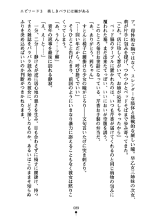 怪盗ローズ あなたのハートいただきます, 日本語