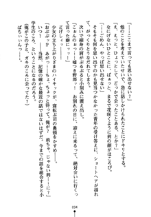 怪盗ローズ あなたのハートいただきます, 日本語