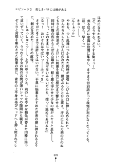 怪盗ローズ あなたのハートいただきます, 日本語