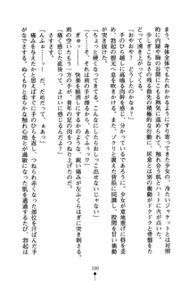 怪盗ローズ あなたのハートいただきます, 日本語