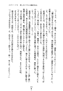 怪盗ローズ あなたのハートいただきます, 日本語