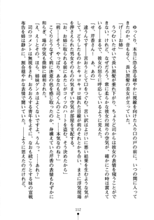 怪盗ローズ あなたのハートいただきます, 日本語