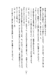 怪盗ローズ あなたのハートいただきます, 日本語