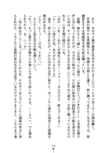 怪盗ローズ あなたのハートいただきます, 日本語