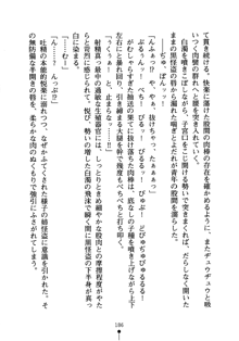 怪盗ローズ あなたのハートいただきます, 日本語