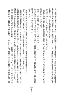 怪盗ローズ あなたのハートいただきます, 日本語