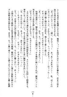 怪盗ローズ あなたのハートいただきます, 日本語