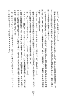 怪盗ローズ あなたのハートいただきます, 日本語