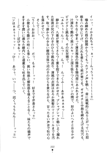 怪盗ローズ あなたのハートいただきます, 日本語