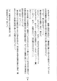 怪盗ローズ あなたのハートいただきます, 日本語