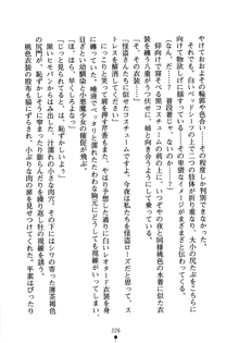 怪盗ローズ あなたのハートいただきます, 日本語