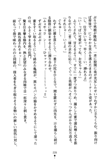 怪盗ローズ あなたのハートいただきます, 日本語