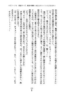 怪盗ローズ あなたのハートいただきます, 日本語