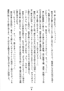 怪盗ローズ あなたのハートいただきます, 日本語