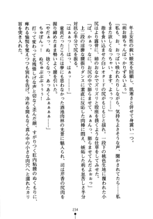 怪盗ローズ あなたのハートいただきます, 日本語