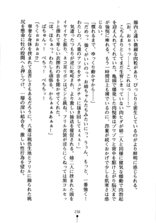 怪盗ローズ あなたのハートいただきます, 日本語