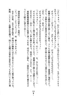 怪盗ローズ あなたのハートいただきます, 日本語