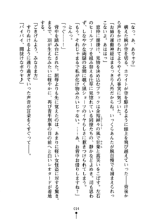 怪盗ローズ あなたのハートいただきます, 日本語