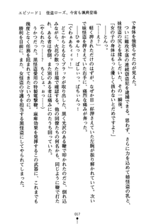 怪盗ローズ あなたのハートいただきます, 日本語