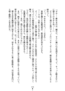 怪盗ローズ あなたのハートいただきます, 日本語