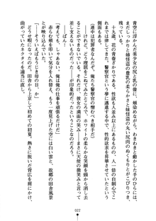 怪盗ローズ あなたのハートいただきます, 日本語