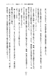 怪盗ローズ あなたのハートいただきます, 日本語