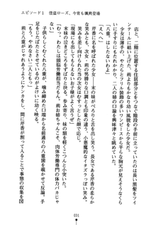 怪盗ローズ あなたのハートいただきます, 日本語