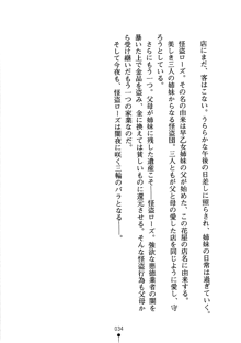 怪盗ローズ あなたのハートいただきます, 日本語