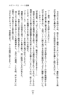 怪盗ローズ あなたのハートいただきます, 日本語