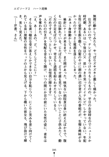 怪盗ローズ あなたのハートいただきます, 日本語