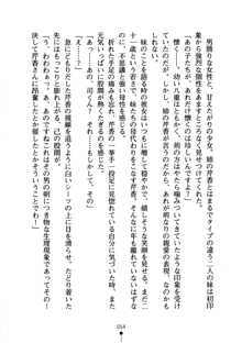 怪盗ローズ あなたのハートいただきます, 日本語