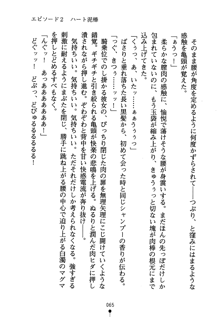 怪盗ローズ あなたのハートいただきます, 日本語