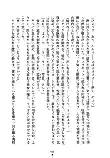 怪盗ローズ あなたのハートいただきます, 日本語