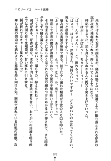 怪盗ローズ あなたのハートいただきます, 日本語