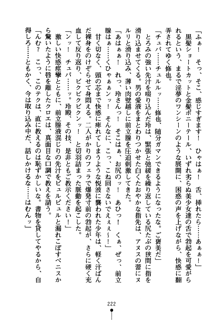 もののふガールズ 剣も恋も免許皆伝, 日本語