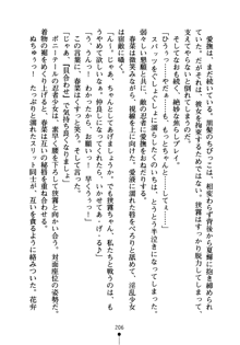 しゅごにん！ -守護忍- くのいちパラダイス, 日本語