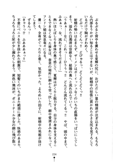 しゅごにん！ -守護忍- くのいちパラダイス, 日本語