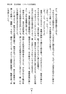 しゅごにん！ -守護忍- くのいちパラダイス, 日本語