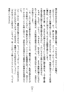 しゅごにん！ -守護忍- くのいちパラダイス, 日本語