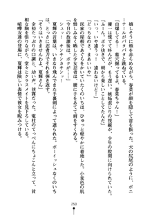 しゅごにん！ -守護忍- くのいちパラダイス, 日本語