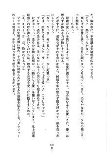 しゅごにん！ -守護忍- くのいちパラダイス, 日本語